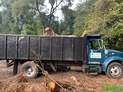 Hauling and cleanup after tree work