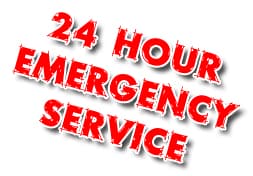 24 hour emergency tree service