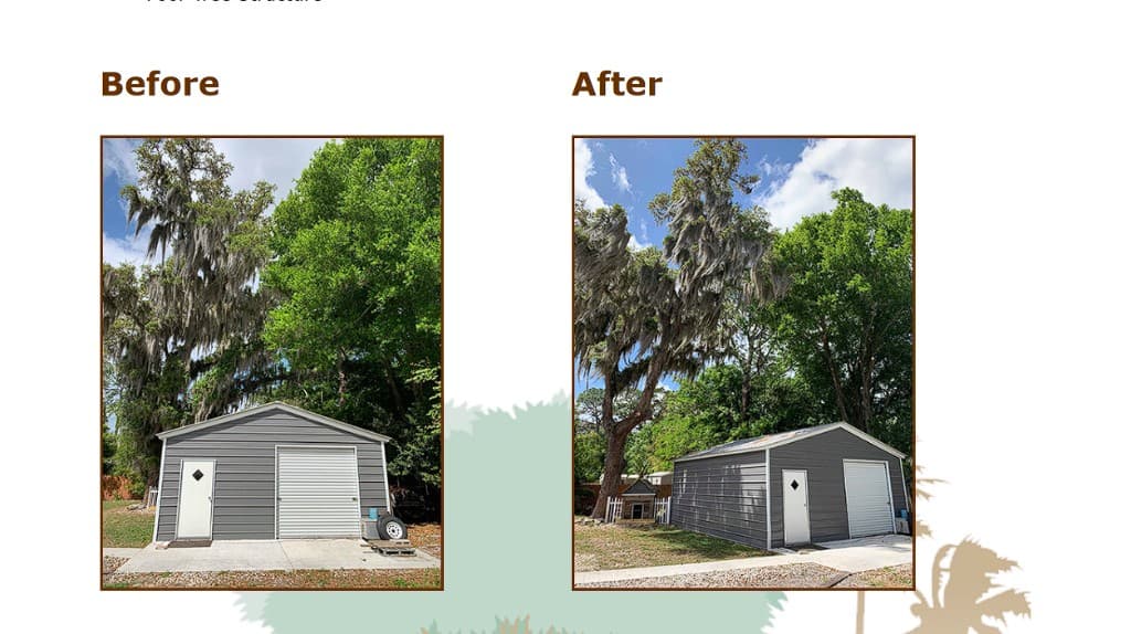 Before and after — overgrown limbs cleared back from a utility shed and structures