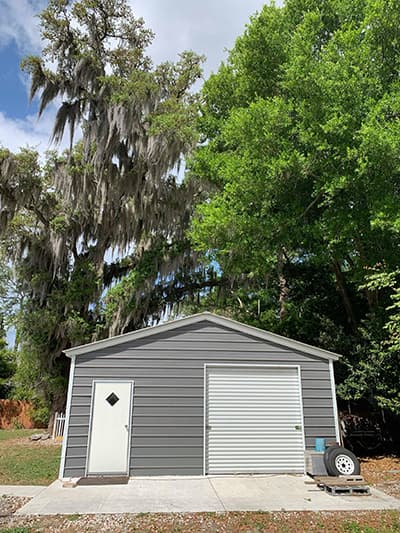 Before tree service — overgrown canopy