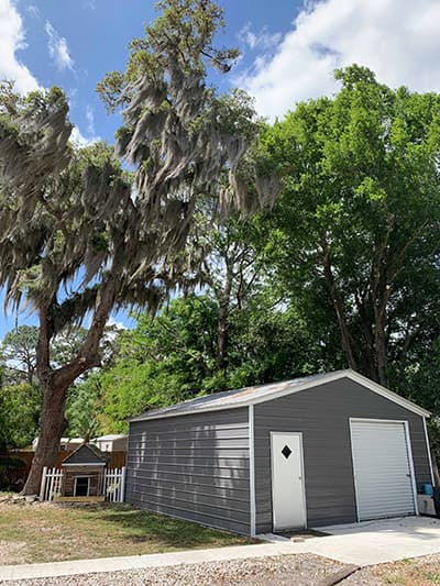 After tree service — cleaned up and balanced